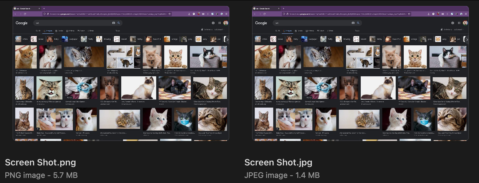 You could always use more cats.