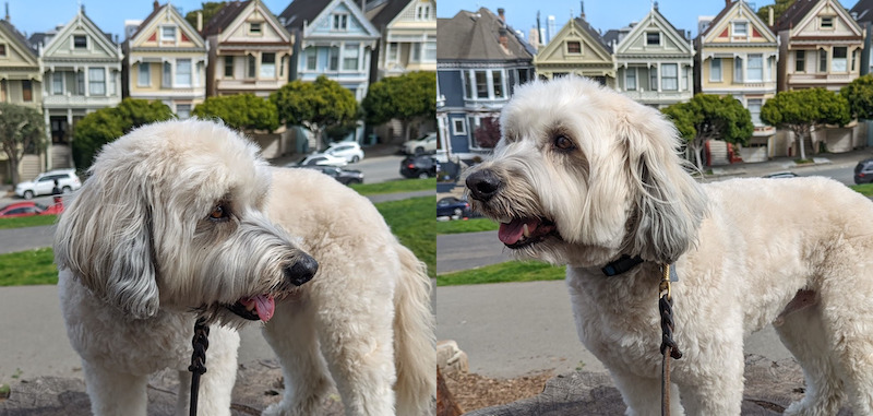 Winston looking right. Winston looking left. (jpg, 136KB)