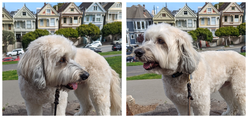 Winston looking right. Winston looking left. (png, 614KB)